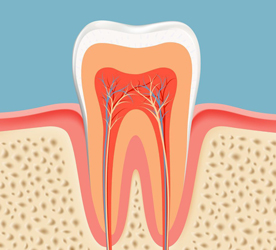 รักษารากฟัน Root Canal